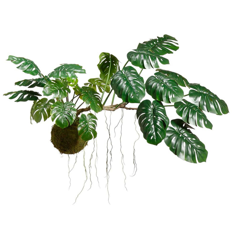 35" Monstera Hanging Plant