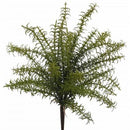 20" Seaweed Fern Green